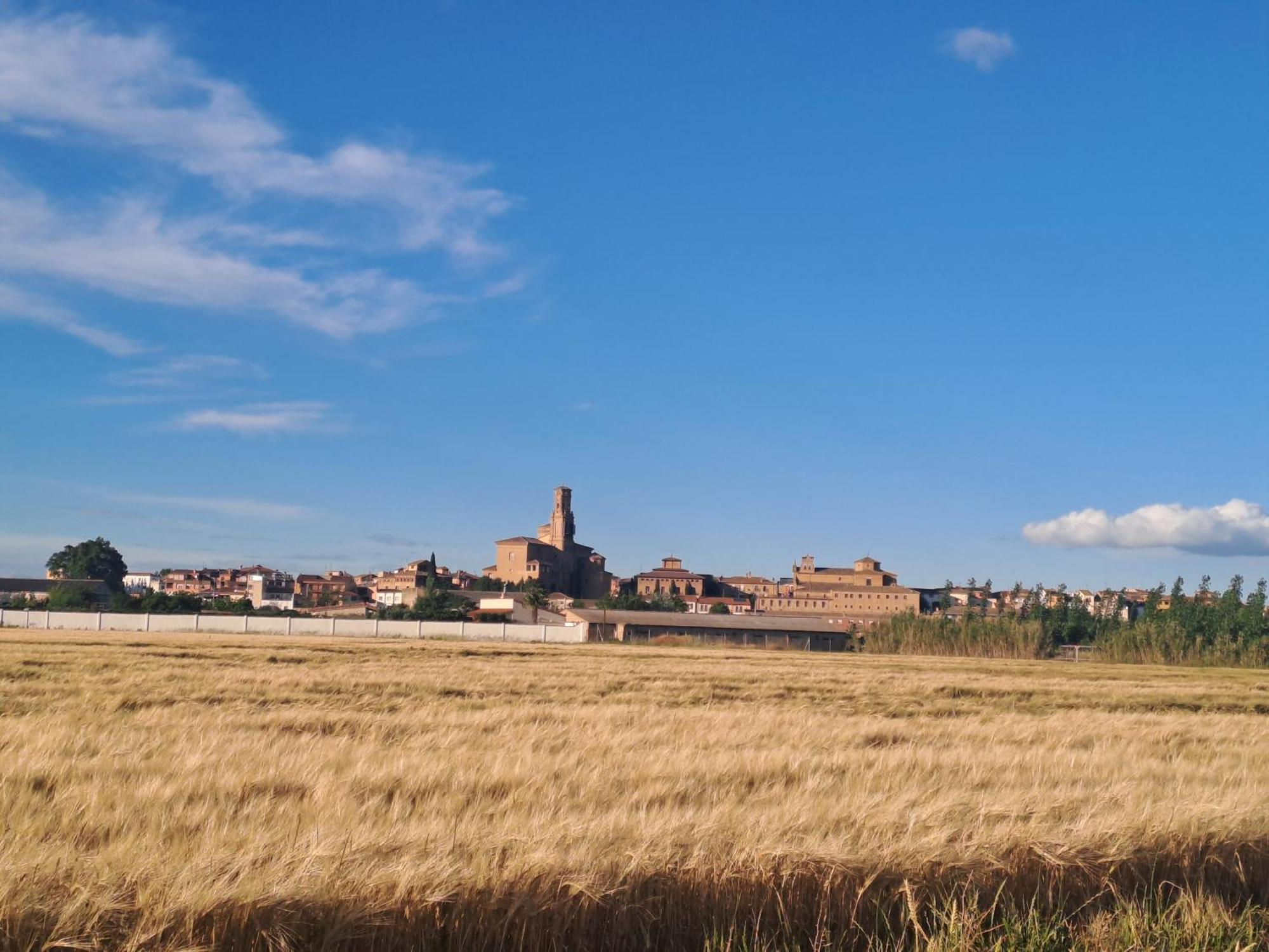 Apartamento Rural Las Canas Esencia De Bardenas Villafranca ภายนอก รูปภาพ